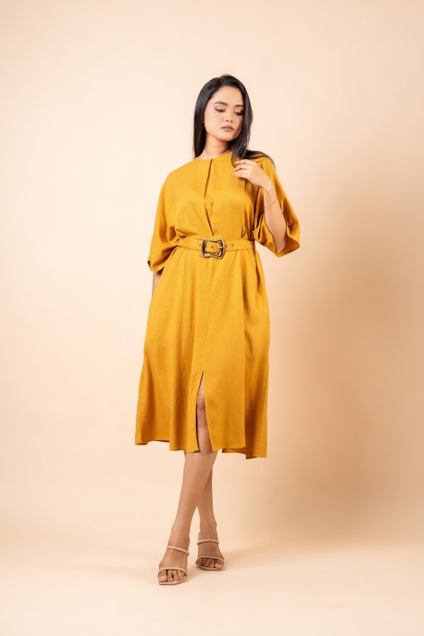 Belt Detailed Maggie Sleeved Midi Dress - Image 3